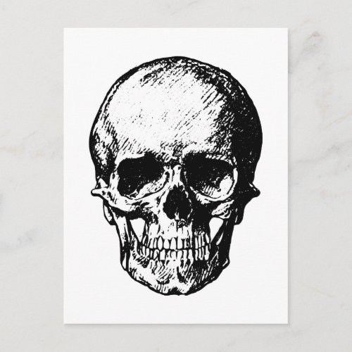 Black and White Vintage Skull Illustration Postcard