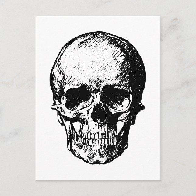 Black and White Vintage Skull Illustration Postcard (Front)