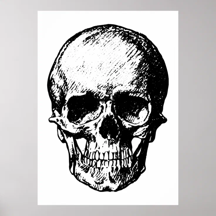 vintage skull art