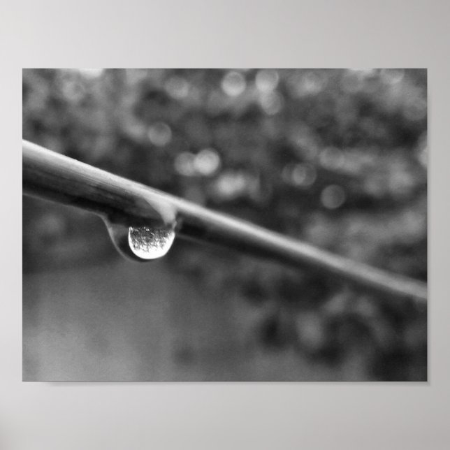 black and white water drop photo poster (Front)