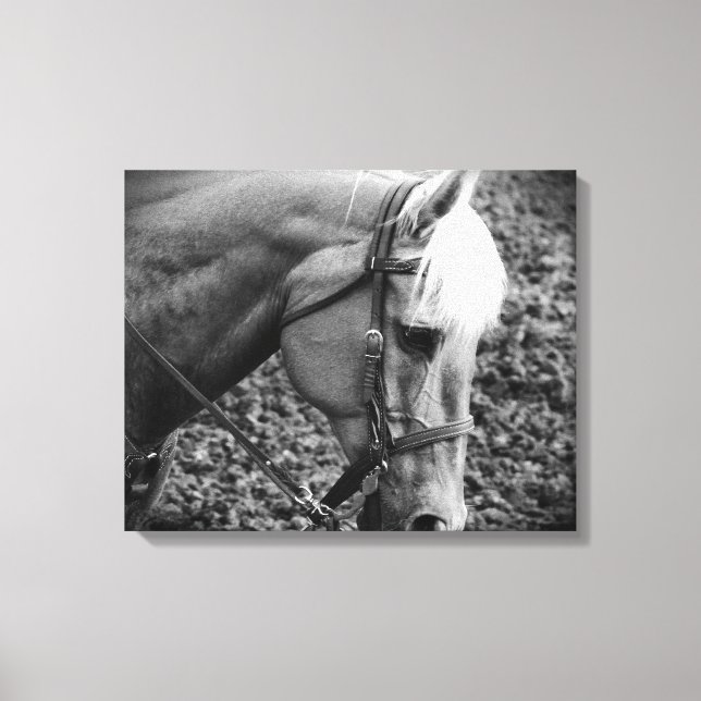 Black and White Western Palomino Horse Canvas Prin Print (Front)