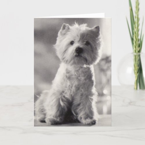 Black and White Westie Card