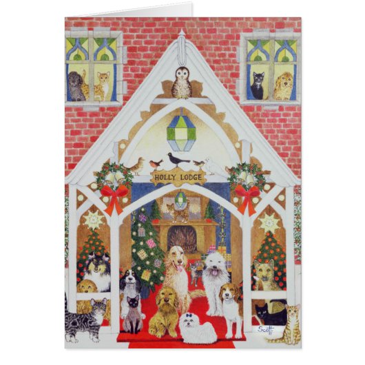 Black and white whiskers (Front)