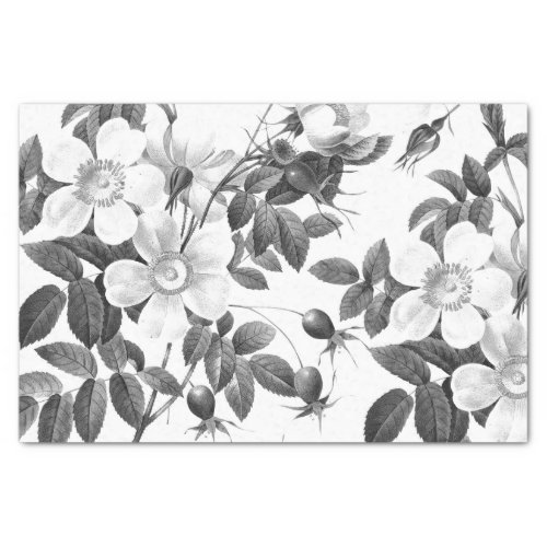 Black and White Wild Rose Flower Tissue Paper