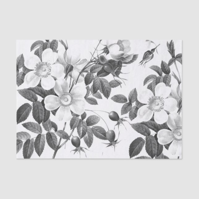 Black and White Wild Rose Flower Tissue Paper (Front)