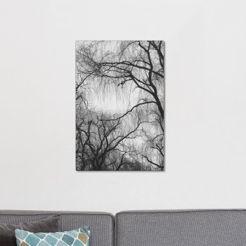 Black And White Willow Tree Branches Canvas Print by artbyjocelyn at Zazzle