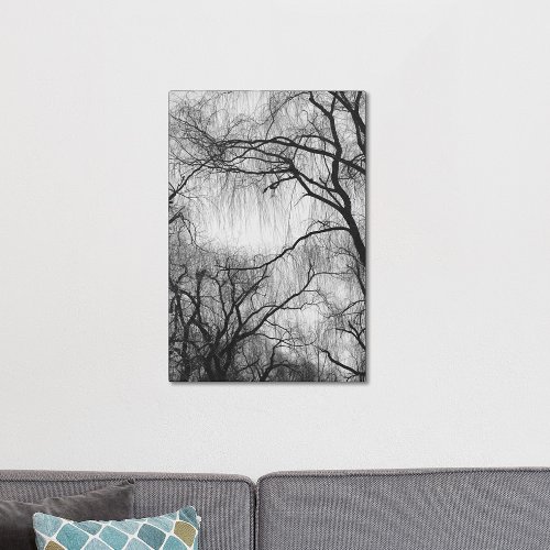Black and White Willow Tree Branches Canvas Print