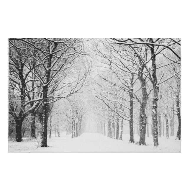 Black and White Winter Wonderland Photograph Faux Canvas Print (Front)