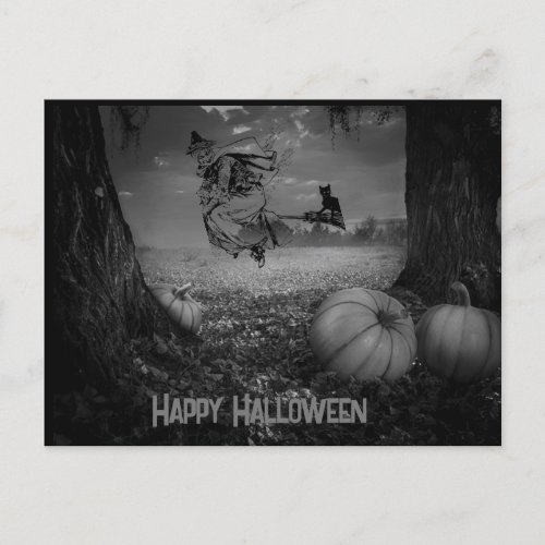 Black and White Witch in Pumpkin Patch Halloween Holiday Postcard