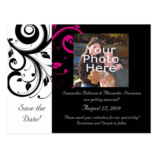 Black and White with Magenta Swirl Accent Postcard