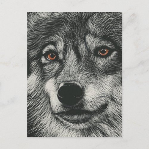 Black and white wolf illustration postcard