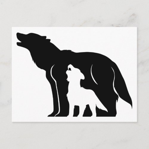 Black and White Wolves Postcard
