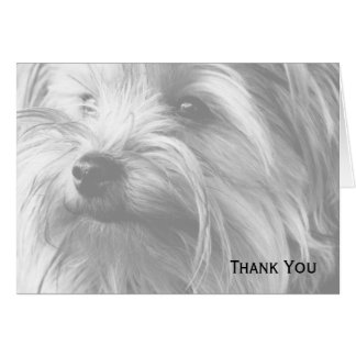 Black and White Yorkshire Terrier Yorkie Card