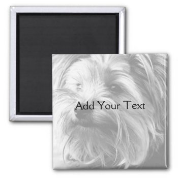 Black And White Yorkshire Terrier Yorkie Magnet by BeSeenBranding at Zazzle