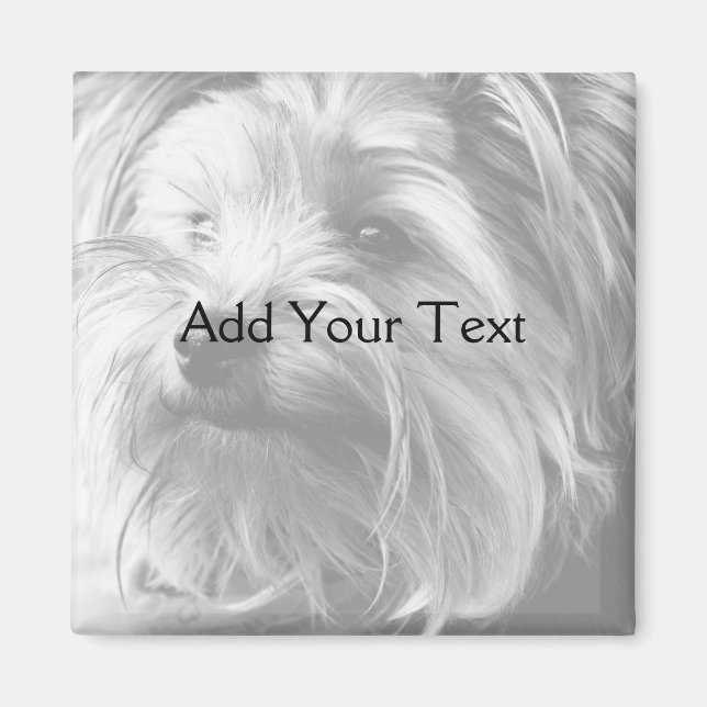 Black and White Yorkshire Terrier Yorkie Magnet (Front)