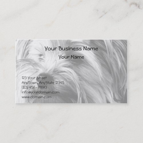 Black and White Yorkshire Terrier Yorkie Portrait Business Cards