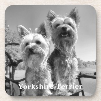 Black And White Yorkshire Terriers Beverage Coaster by artinphotography at Zazzle