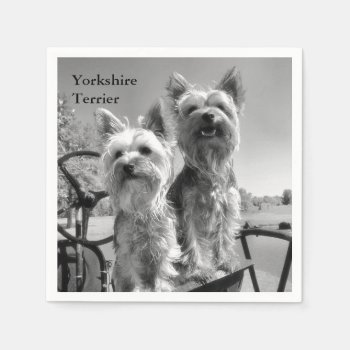 Black And White Yorkshire Terriers Napkins by artinphotography at Zazzle
