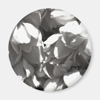 black and white yucca lillies magnet