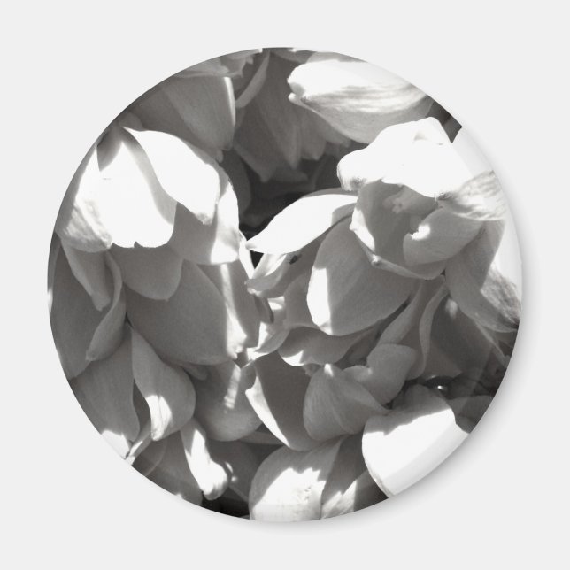 black and white yucca lillies magnet (Front)