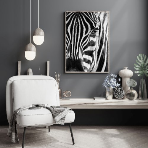 Black and White Zebra Animal Photo Poster