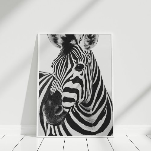 Black and White Zebra Poster