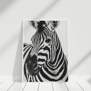 Black and White Zebra Safari Photography Poster