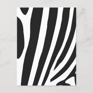 Black and White Zebra Stripes Pattern