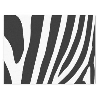 Black and White Zebra Stripes Pattern