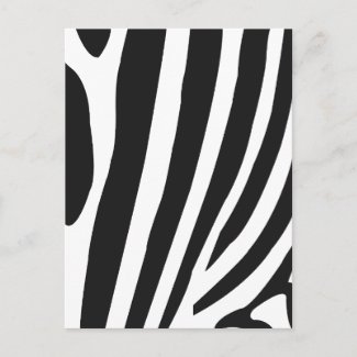 Black and White Zebra Stripes