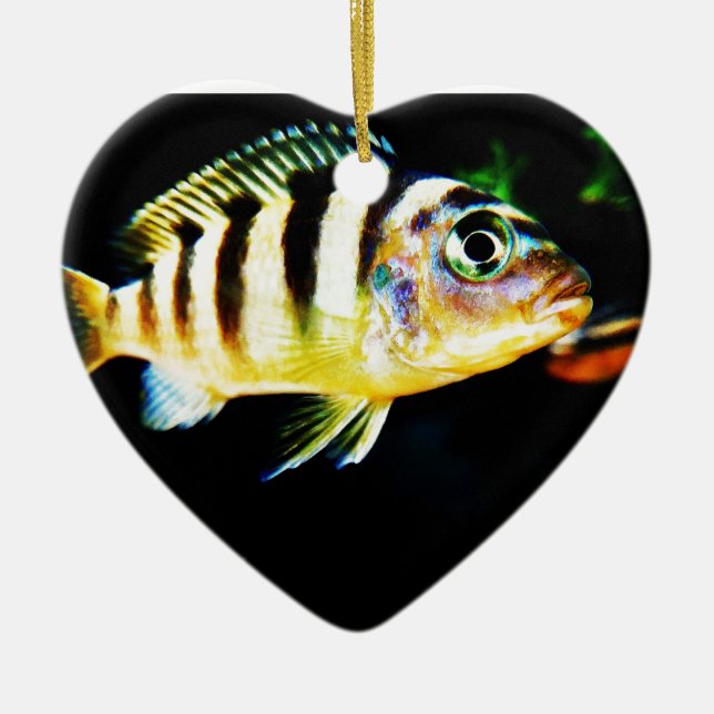 Black and Yellow African Cichlid Fish Ceramic Ornament (Front)