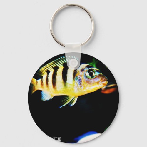 Black and Yellow African Cichlid Fish Keychain