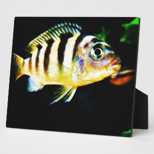 Black and Yellow African Cichlid Fish Plaque