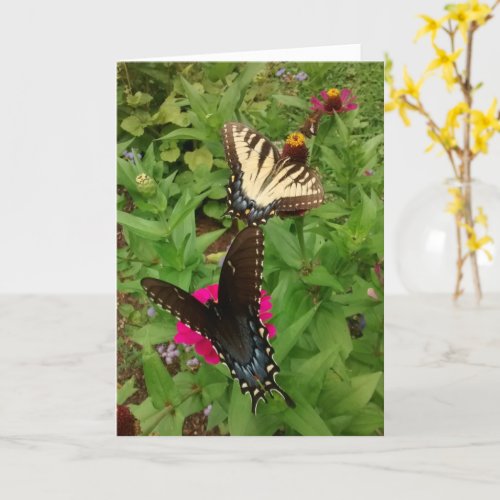 Black and Yellow Butterflies and a Skipper Blank C Card