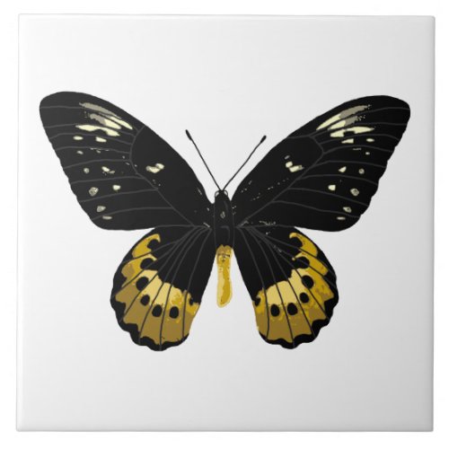 Black and yellow butterfly ceramic tile