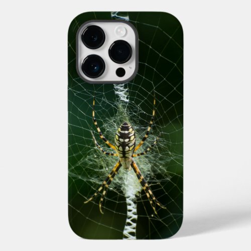 Black and Yellow Garden Spider  Case_Mate iPhone 14 Pro Case