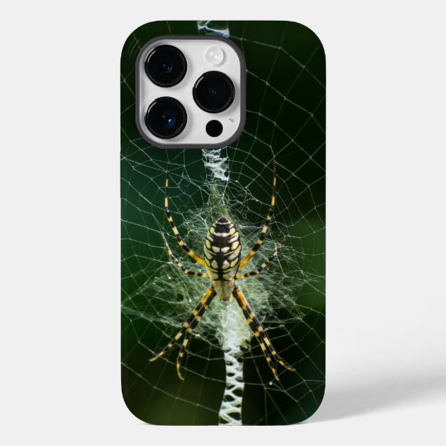 Black and Yellow Garden Spider  Case-Mate iPhone Case (Back)