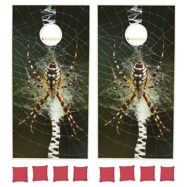 Black and yellow garden spider on the web cornhole set (Set)