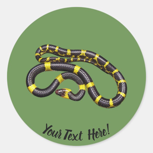 Black and yellow snake classic round sticker (Front)