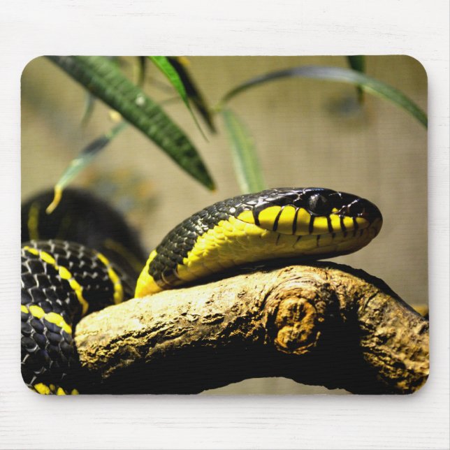 Black and yellow snake mouse pad (Front)
