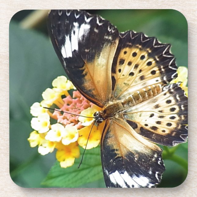 Black and Yellow Spotted Butterfly Drink Coaster (Front)