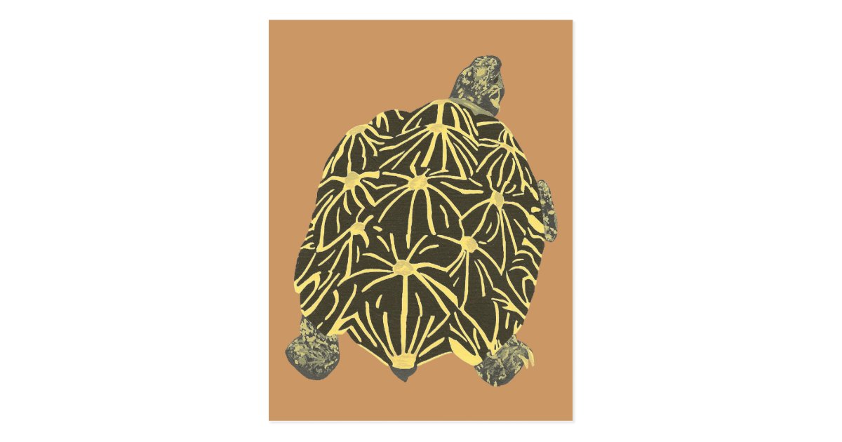 Black And Yellow Star Tortoise Painting Postcards Zazzle Com