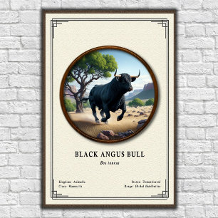 Black Angus Bull Zoology Series Poster