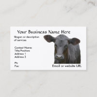 Black Angus Calf for Cattle Rancher