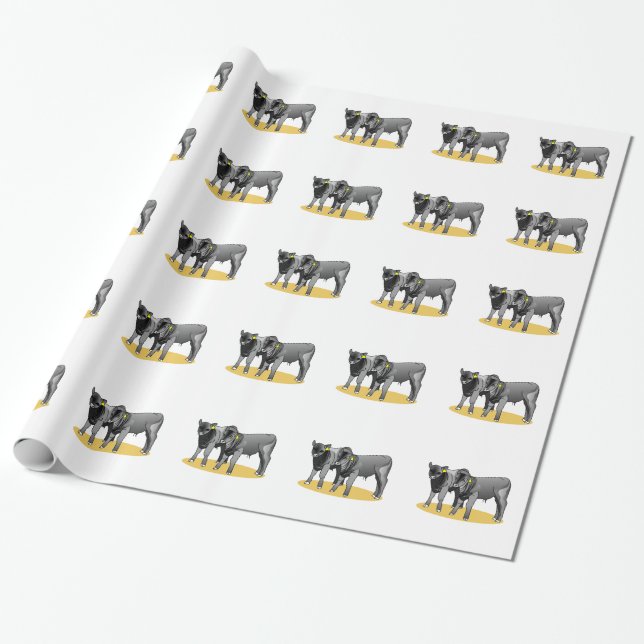 Black Angus Calves Wrapping Paper (Unrolled)