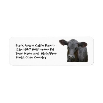 Black Angus Cattle Farm Or Ranch Sticker by RedneckHillbillies at Zazzle