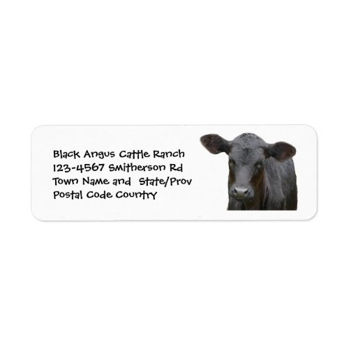 Black Angus Cattle Farm or Ranch Sticker
