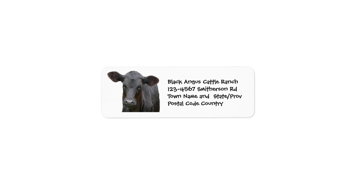 Black Cows Matter Bumper Sticker