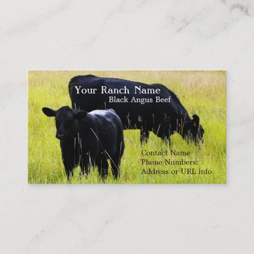 Customizable Black Angus Cattle Grazing in Field Business Card Templates