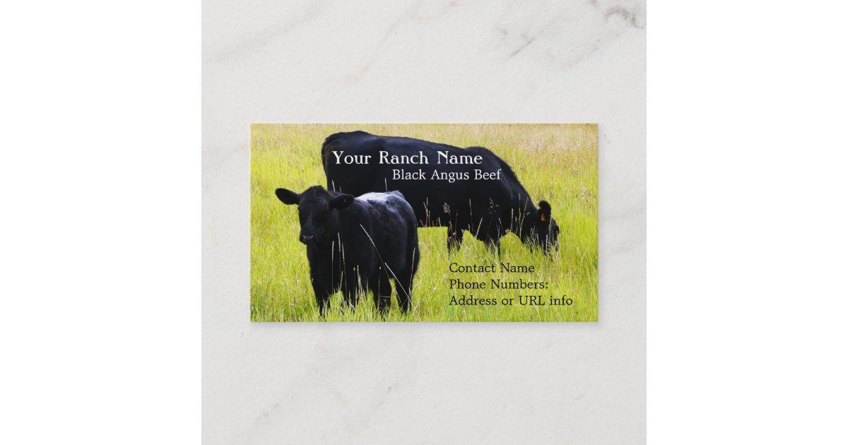Black Angus Cattle Grazing in Field Business Card | Zazzle.com